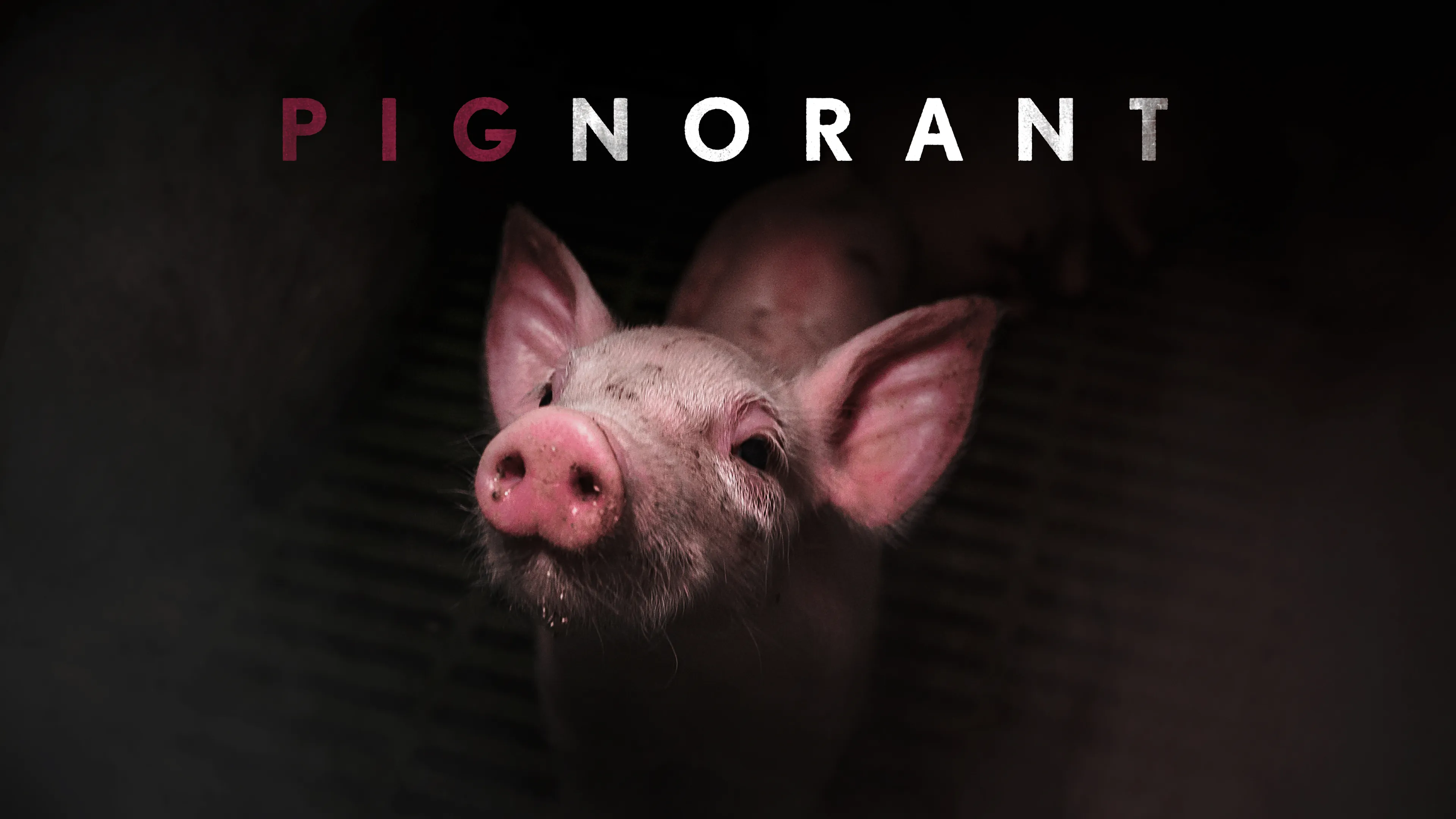 Pignorant poster